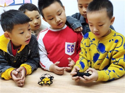 יישומים של מזל